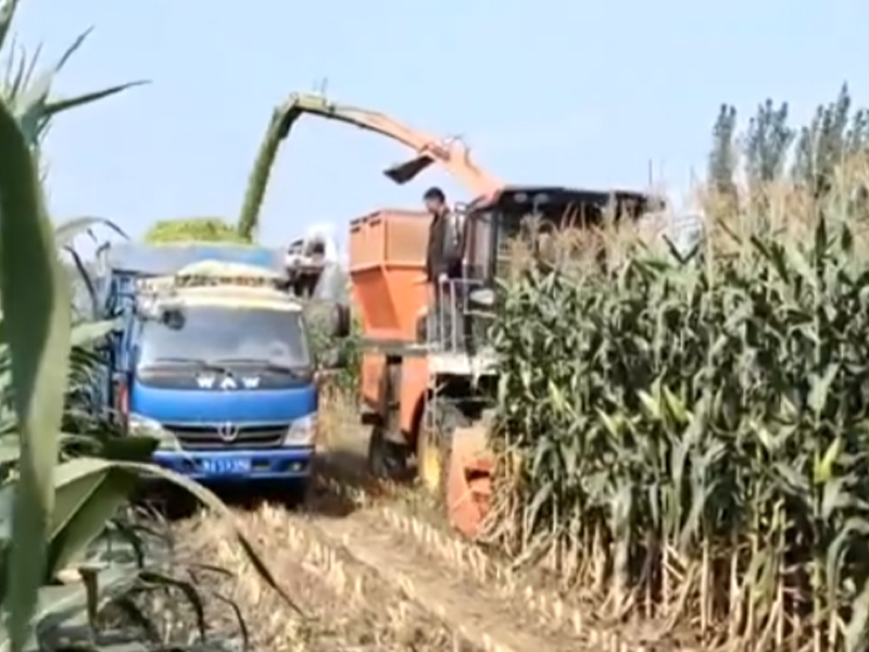 輪式升級版·2個出料口遙控切換-收割玉米跟車作業